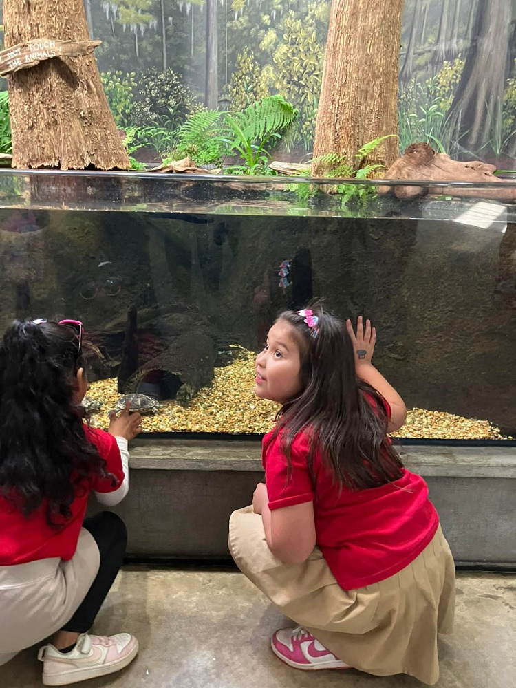 first grade field trip to dauphin island 