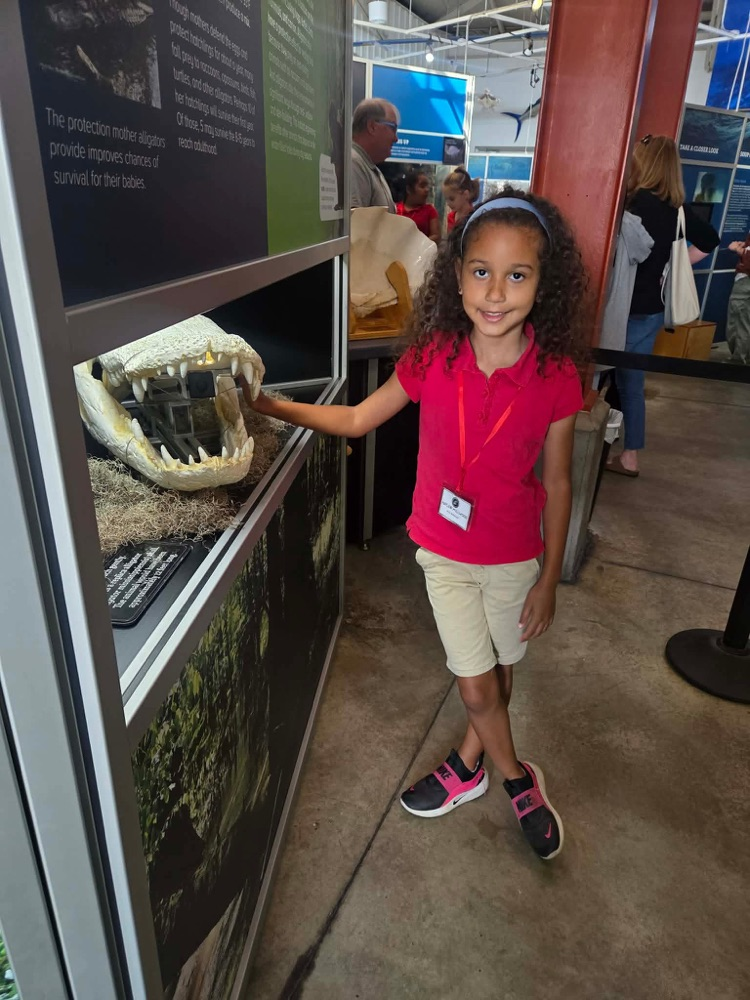 first grade field trip to dauphin island 