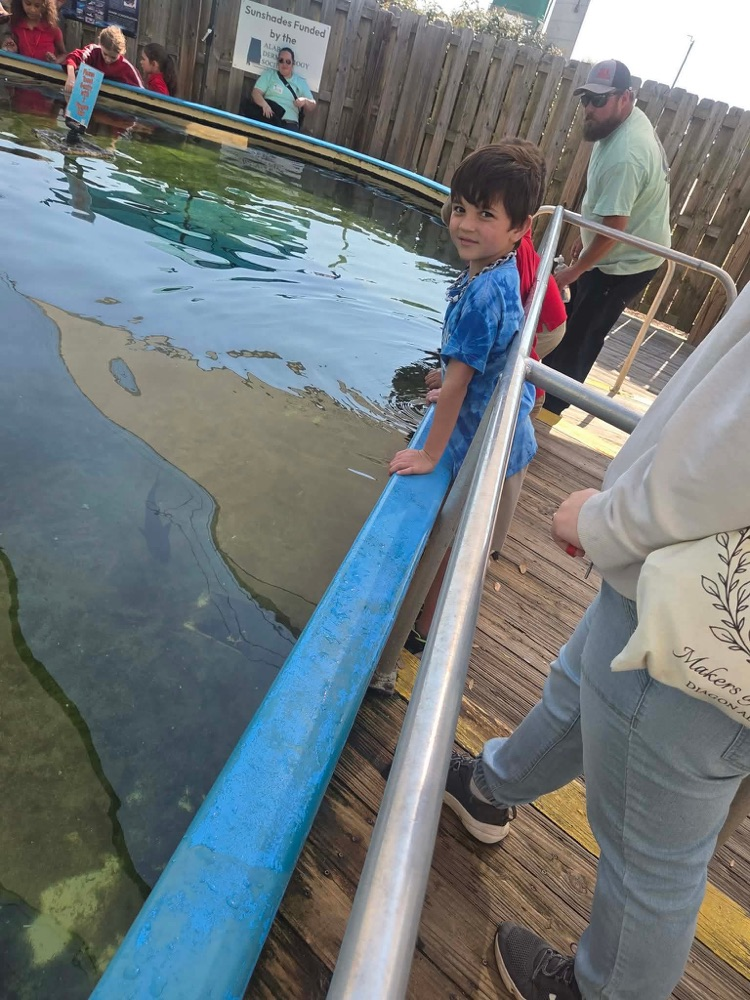 first grade field trip to dauphin island 