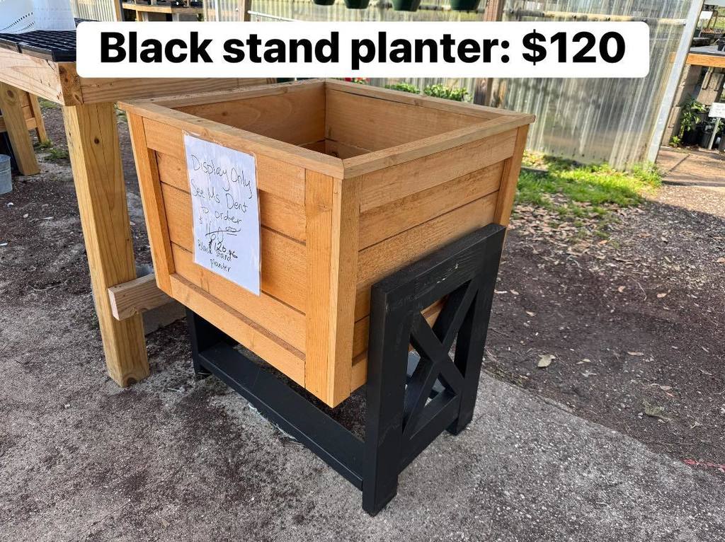 Black stand planter: $120