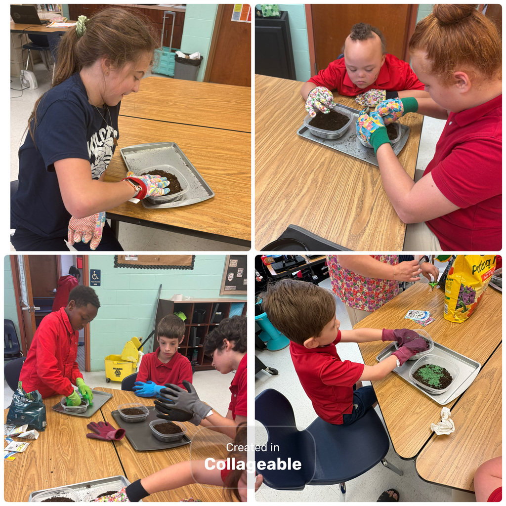 We are learning about parts of a plant and their functions. My class created our own neighborhood and are observing how plants grow.