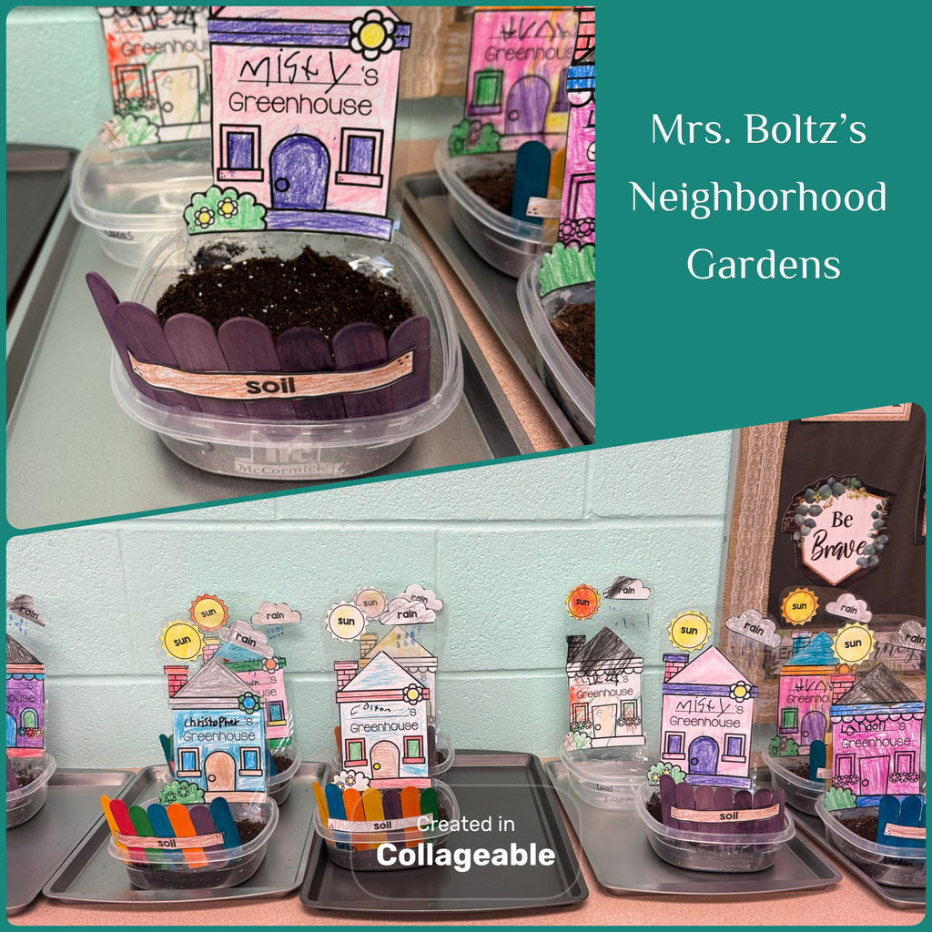 We are learning about parts of a plant and their functions. My class created our own neighborhood and are observing how plants grow.