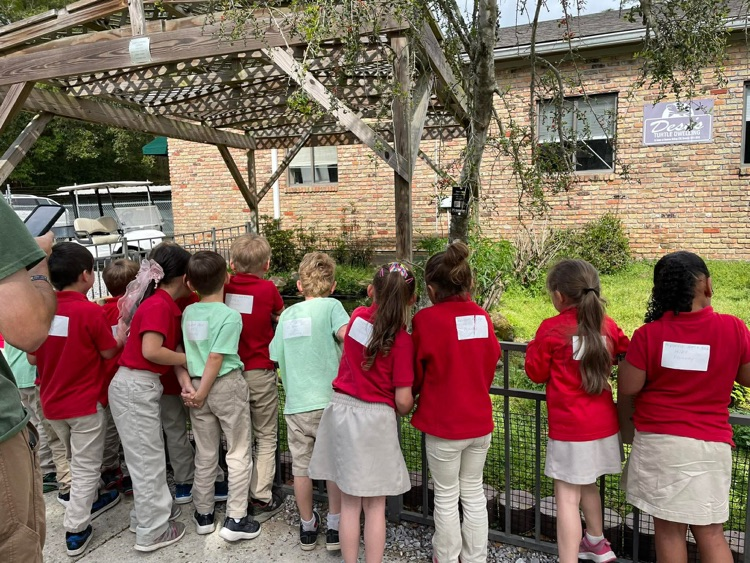 kindergarten at the environmental center