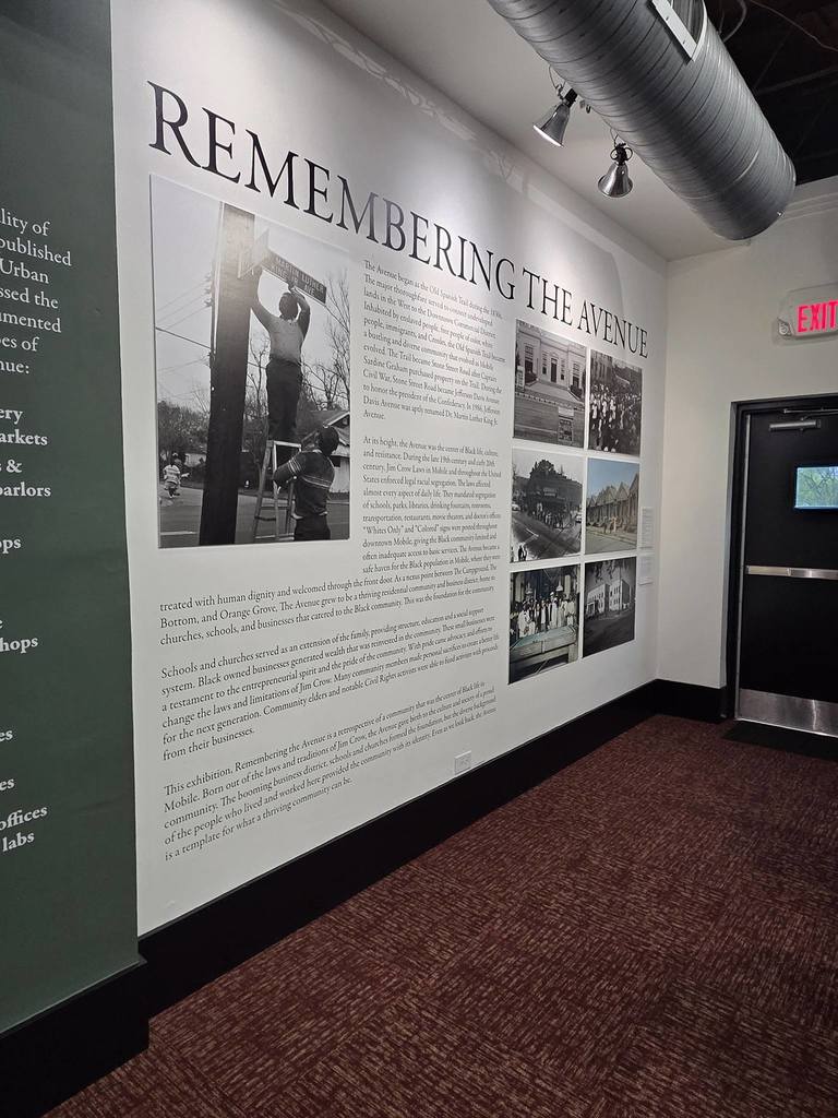 Evolving Butterflies at the Historic Avenue Cultural Center