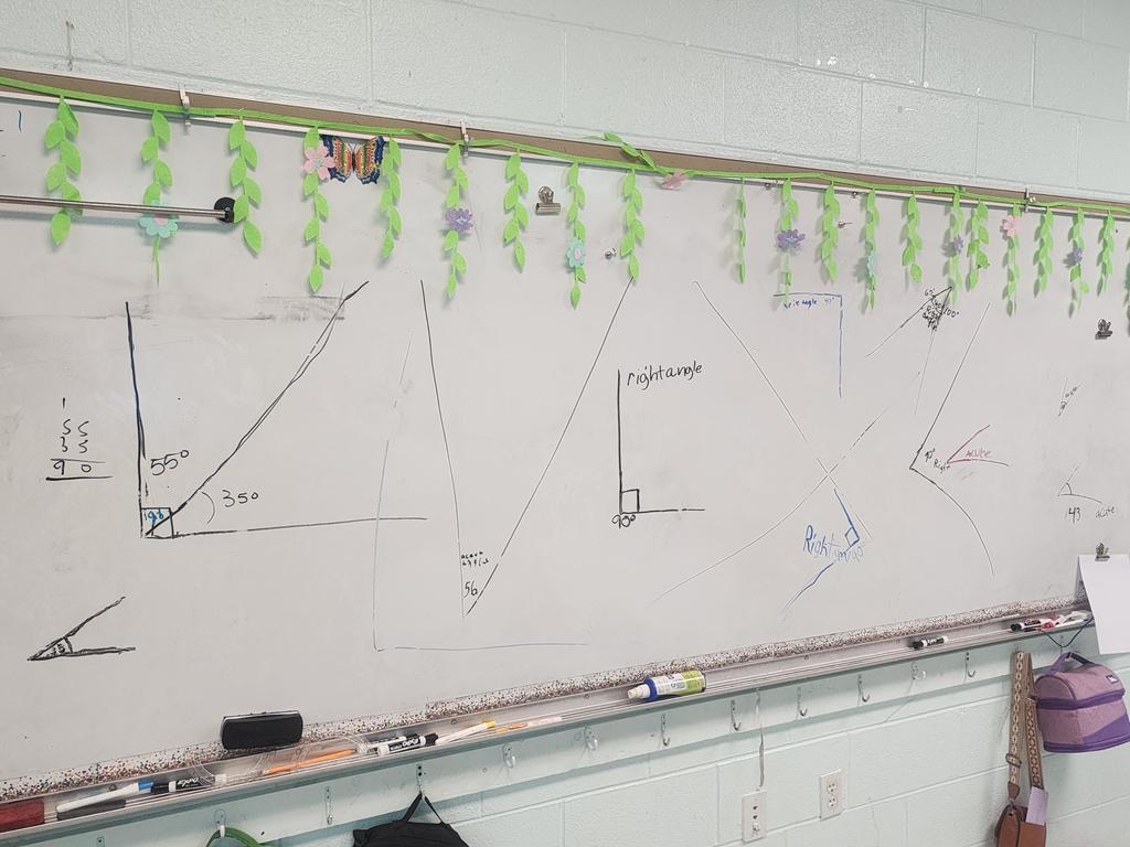 Busby's 4th grade measuring and labeling angles.