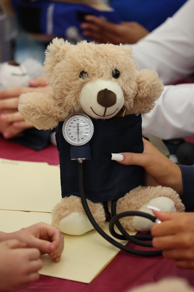A teddy bear in a blood pressure cuff