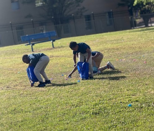 Students gathering eggs at an easter egg hunt 