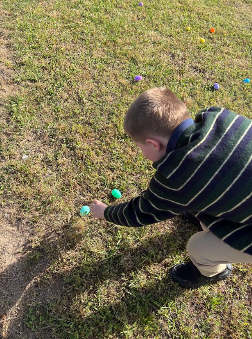 Student gathering eggs 
