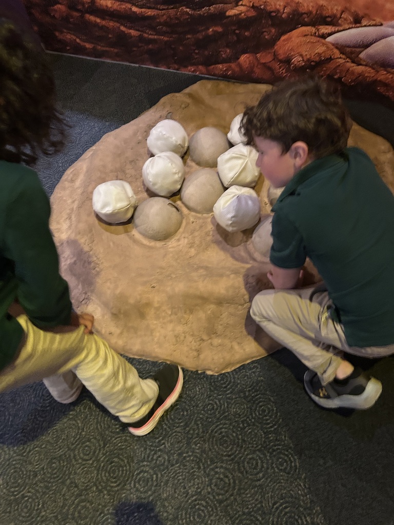 Kindergarten Filed Trip03