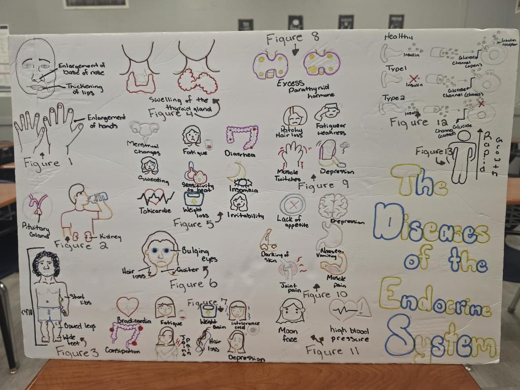 the diseases of the endocrine system
