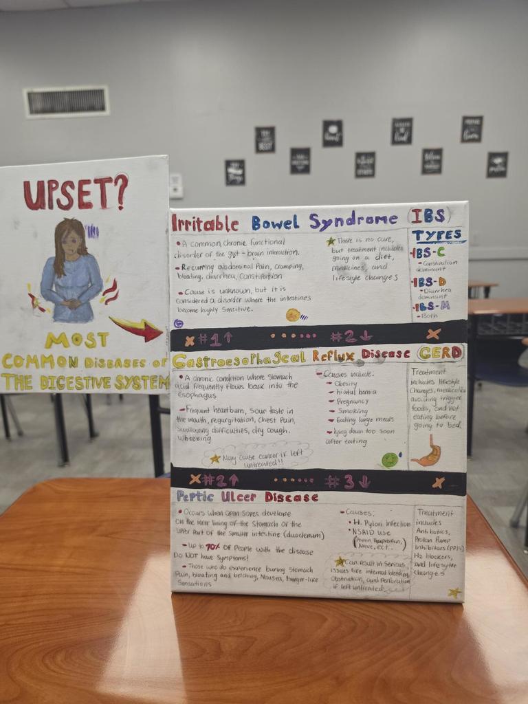 irritable  bowel syndrome project