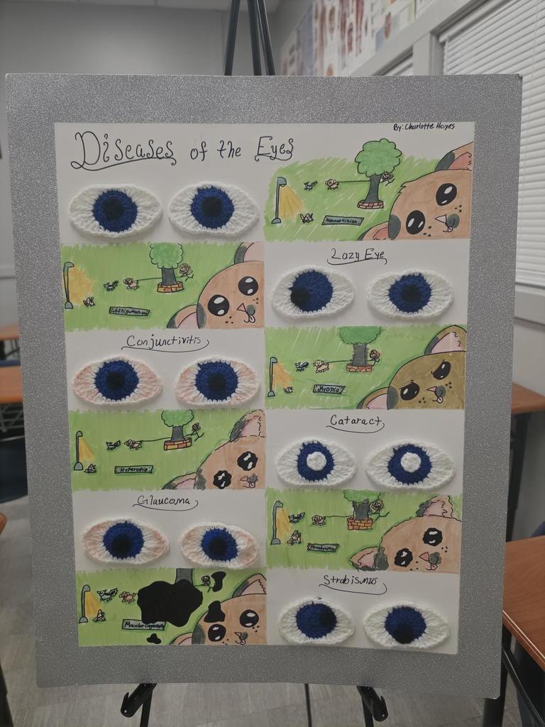 diseases of the eyes