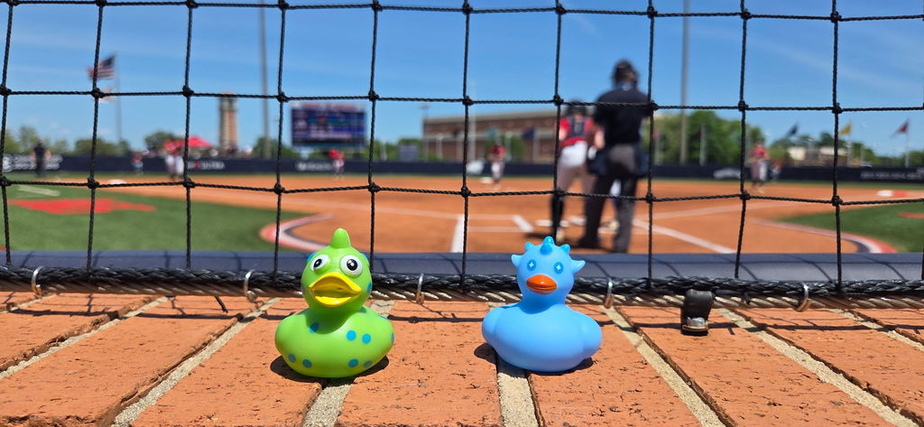 Two rubber ducks behind home plate at a baseball game