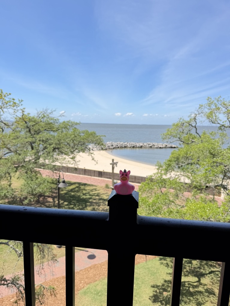 A rubber duck sitting on a balcony rail overlooking Mobile Bay