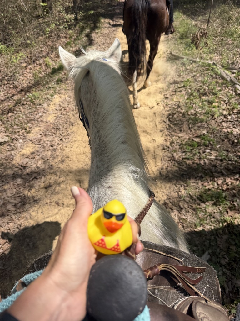 A rubber duck held by someone who is riding a horse