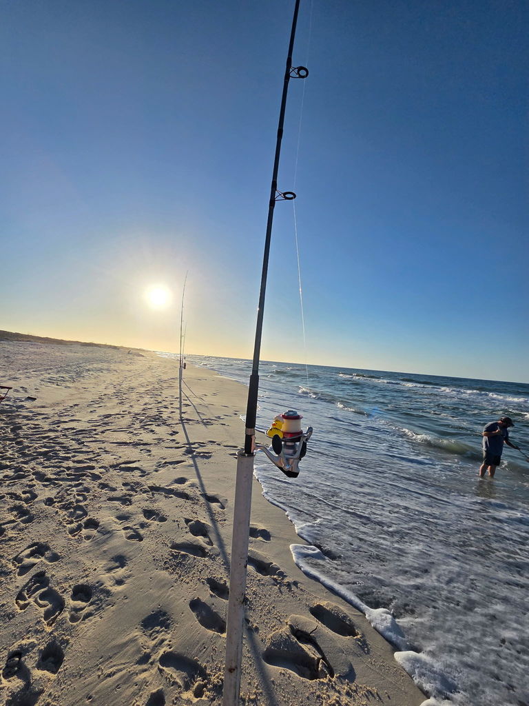 A rubber duck perched on a fishing pole at the beach