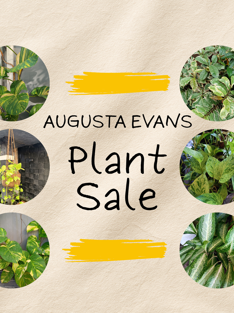 Augusta Evans Plant Sale April 27 through May1st 