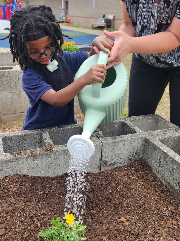 A boy watering a flower