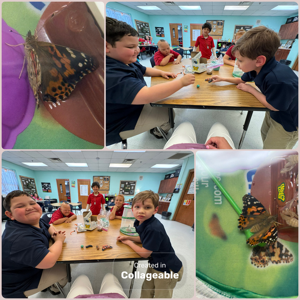 🌎🦋 Earth Day Fun in Mrs. Boltz’s Class! 🦋🌎    Today was such an exciting day in Mrs. Boltz’s class as we celebrated Earth Day while learning all about the life cycle of a butterfly!    Our students have been patiently observing and learning each stage—and today was the best surprise yet… our butterflies hatched! 🦋 Watching this transformation come to life was such a special moment for our kiddos.    To continue our Earth Day celebration, we took learning outside and went on a scavenger hunt in our outdoor classroom! Students explored nature, made connections to what we’ve been learning, and enjoyed the beauty of the world around them. 🌿🌸    It was a day full of hands-on learning, excitement, and appreciation for nature! 💚