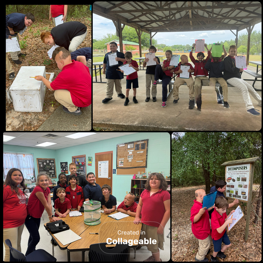 🌎🦋 Earth Day Fun in Mrs. Boltz’s Class! 🦋🌎    Today was such an exciting day in Mrs. Boltz’s class as we celebrated Earth Day while learning all about the life cycle of a butterfly!    Our students have been patiently observing and learning each stage—and today was the best surprise yet… our butterflies hatched! 🦋 Watching this transformation come to life was such a special moment for our kiddos.    To continue our Earth Day celebration, we took learning outside and went on a scavenger hunt in our outdoor classroom! Students explored nature, made connections to what we’ve been learning, and enjoyed the beauty of the world around them. 🌿🌸    It was a day full of hands-on learning, excitement, and appreciation for nature! 💚