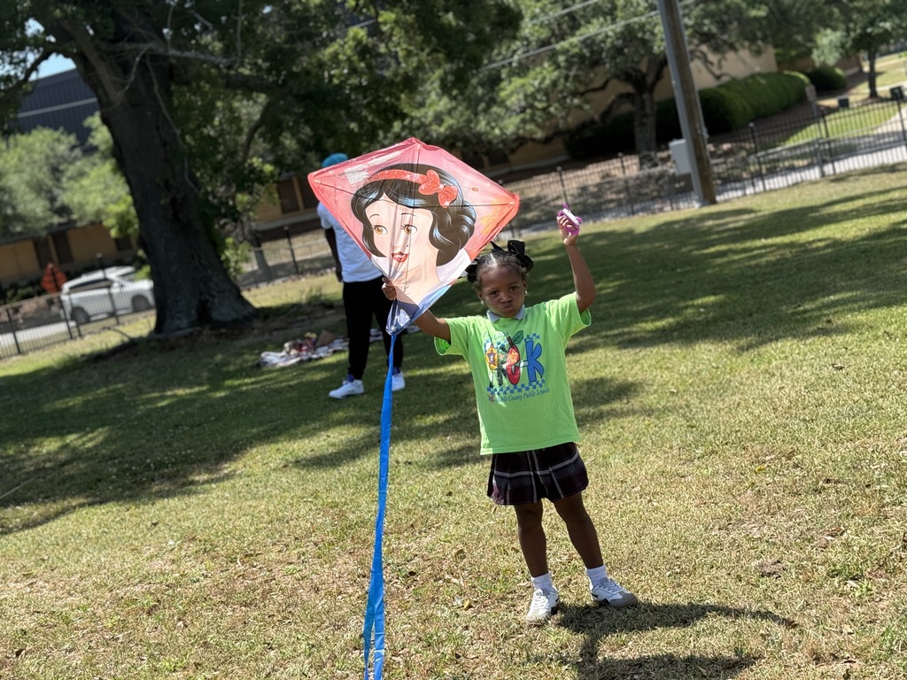 Kite Day