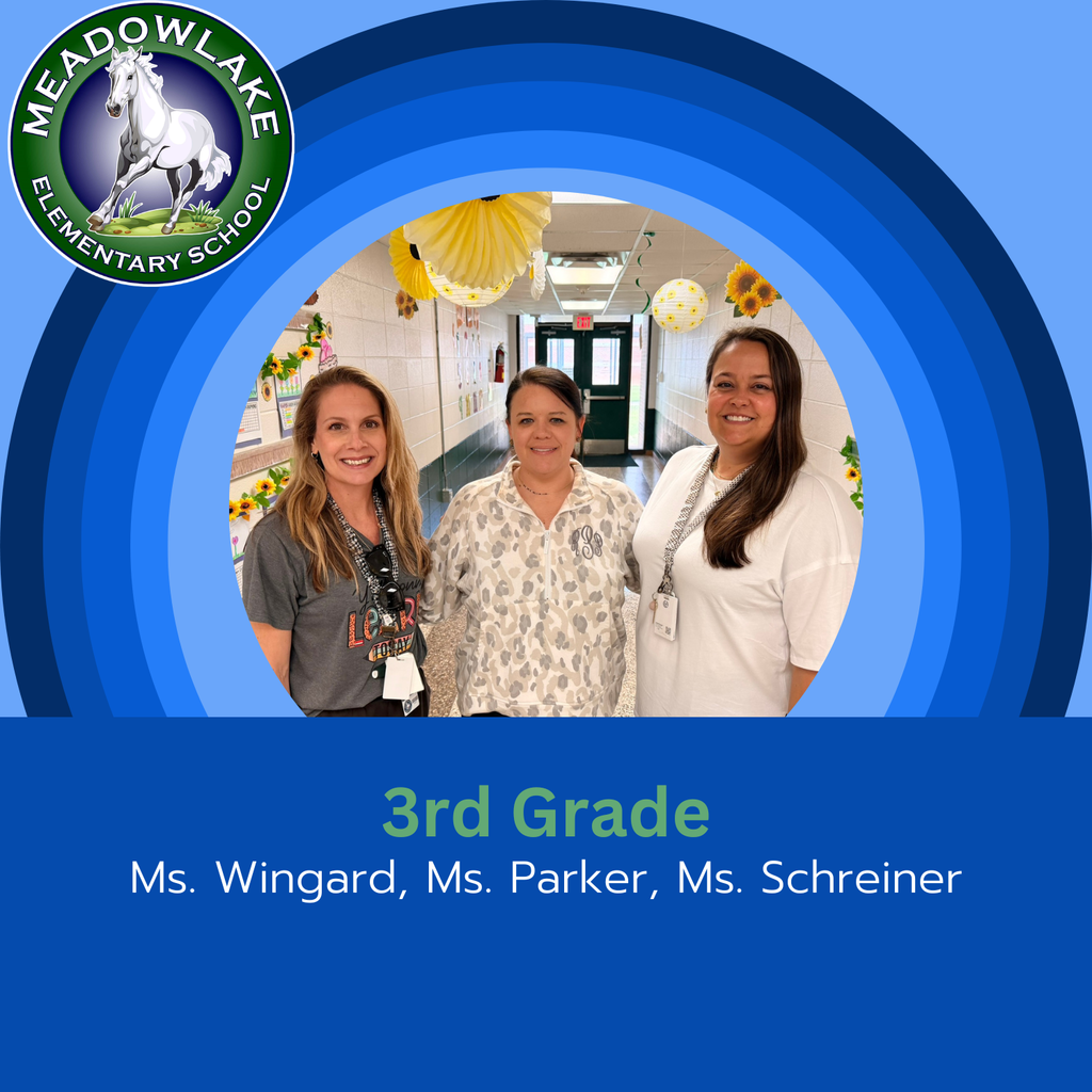 3rd grade teachers