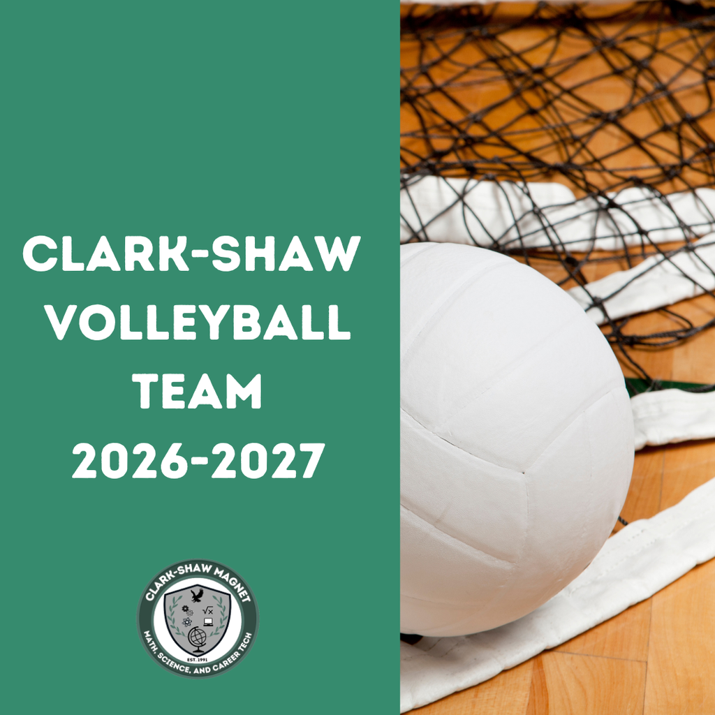 Graphic announcing our 2026-2027 Volleyball Team- all names listed in text 