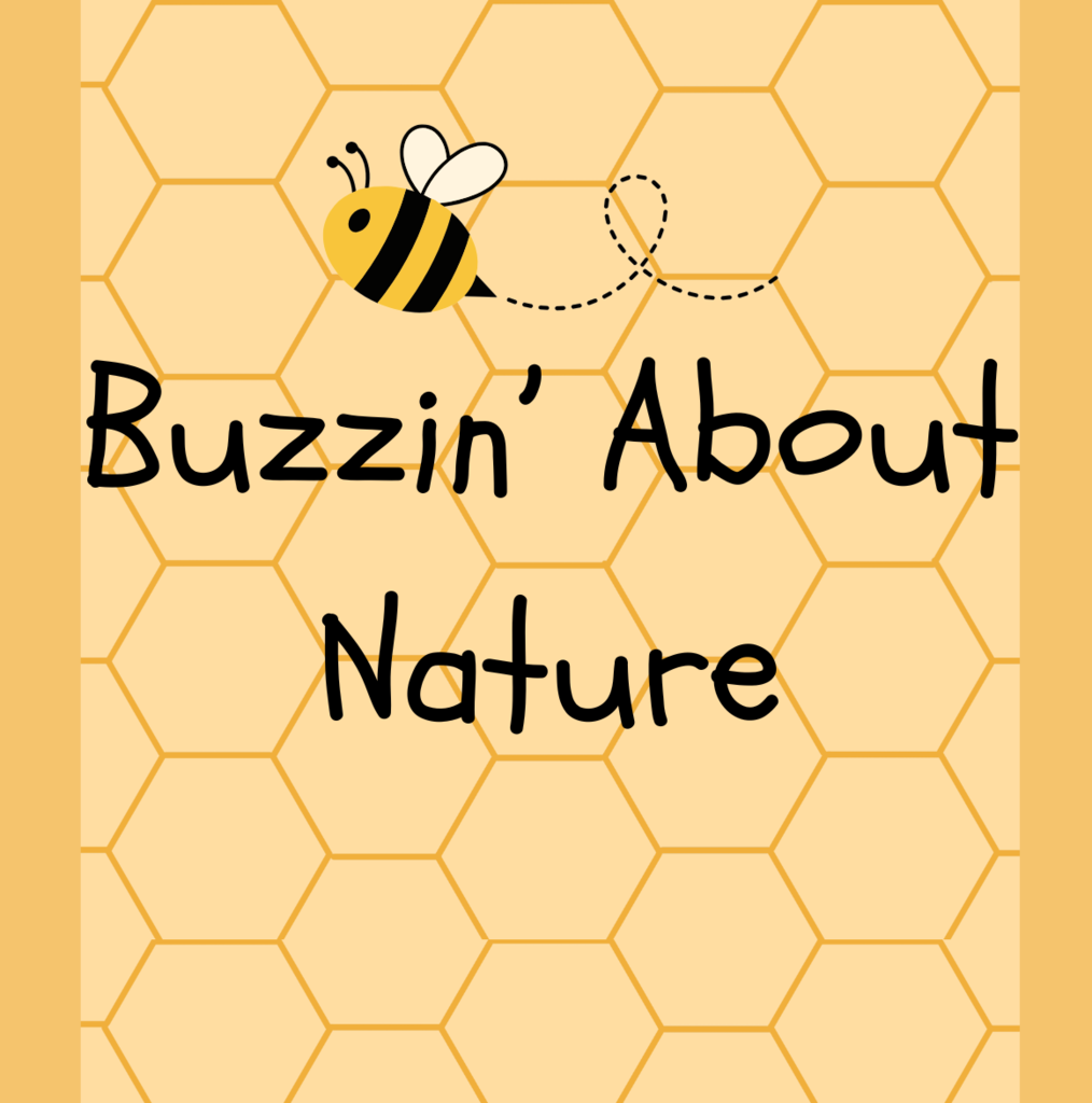 "Buzzin' About Nature" graphic with a honeycomb background and clip art of a bee.