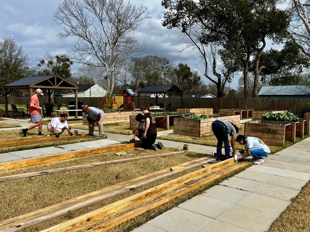 A group of students building raised garden beds on a lawn