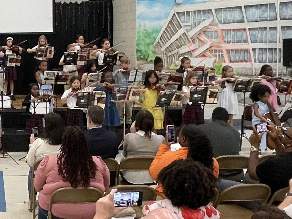 Strings Concert