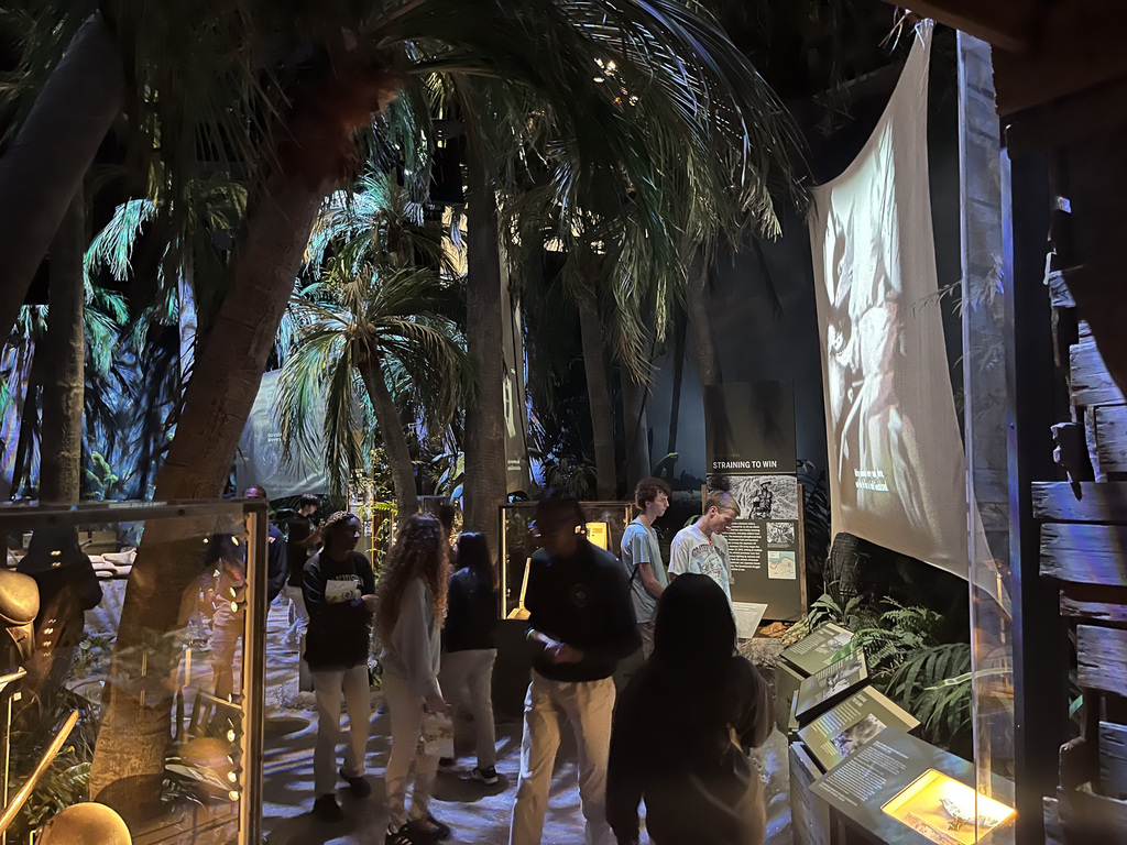 WWII museum