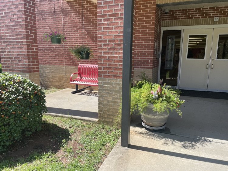 plants