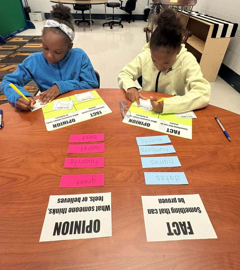 Two students with flash cards on a table sorting fact from opinion