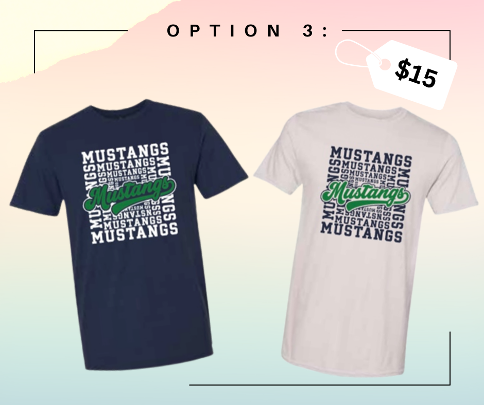 Spirit Shirt option 3