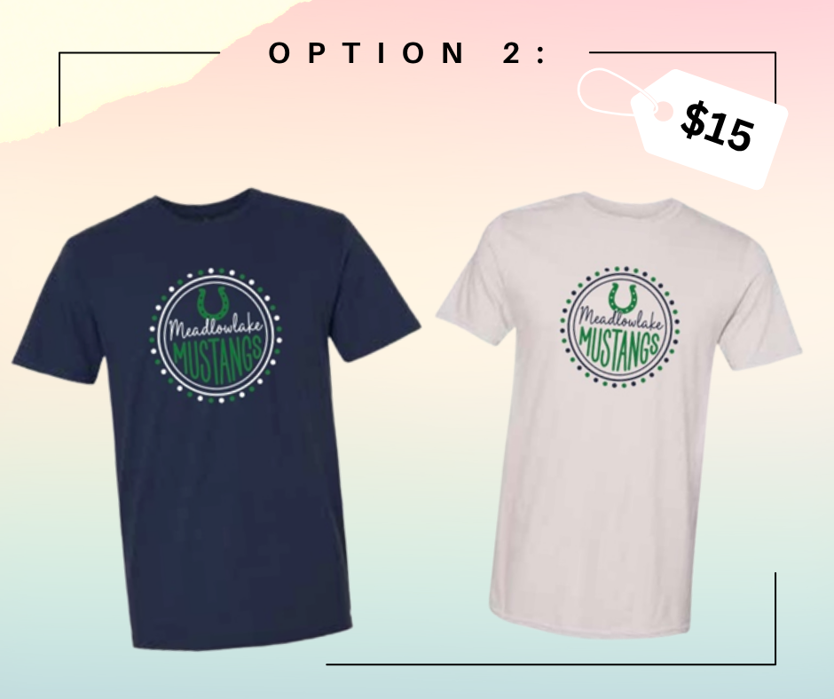 Spirit Shirt option 2