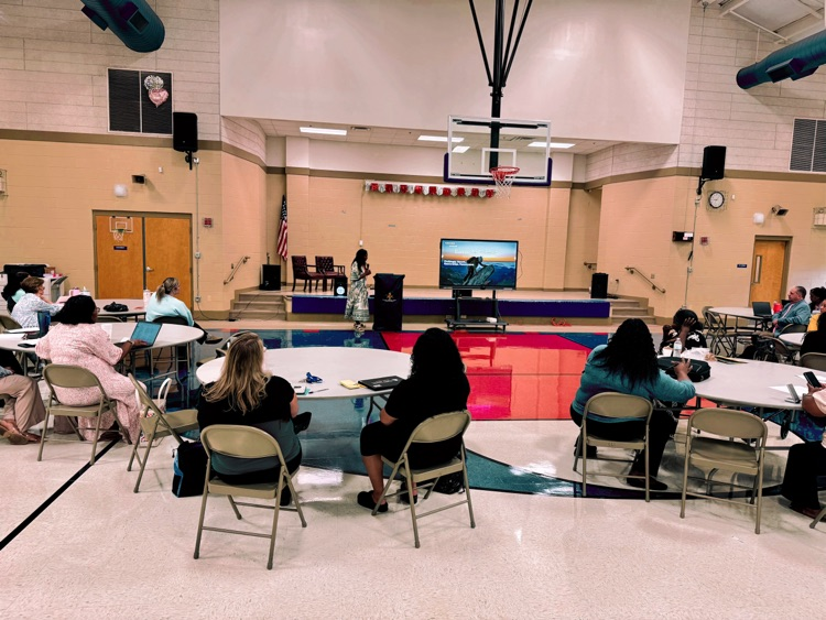 Professional Development