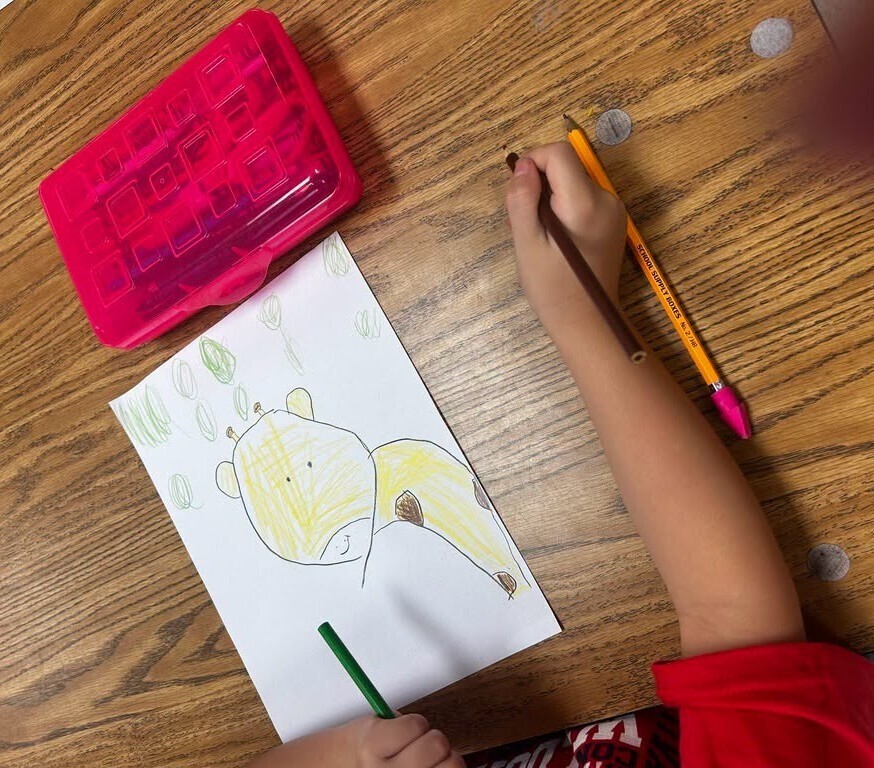A student drawing a giraffe