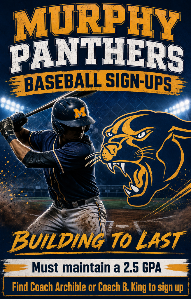 Baseball Interest