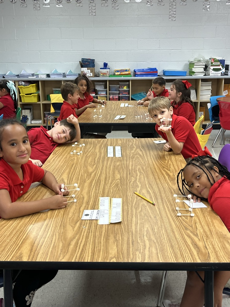 Mrs. Easterbrook’s students making cubes using marshmallows and toothpicks.