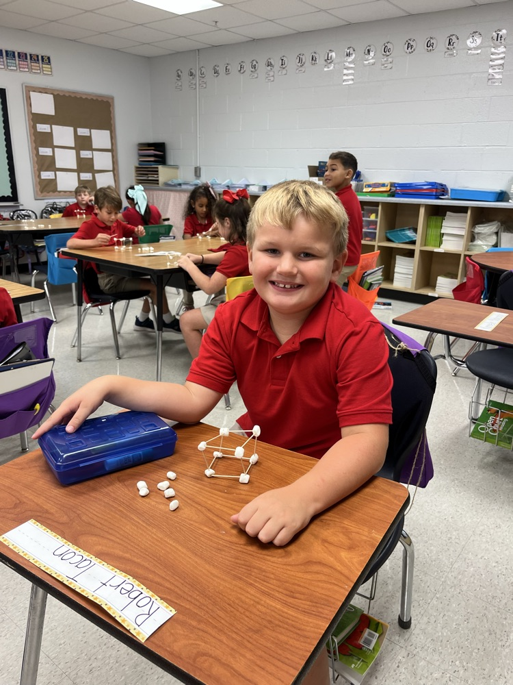 Mrs. Easterbrook’s students making cubes using marshmallows and toothpicks.