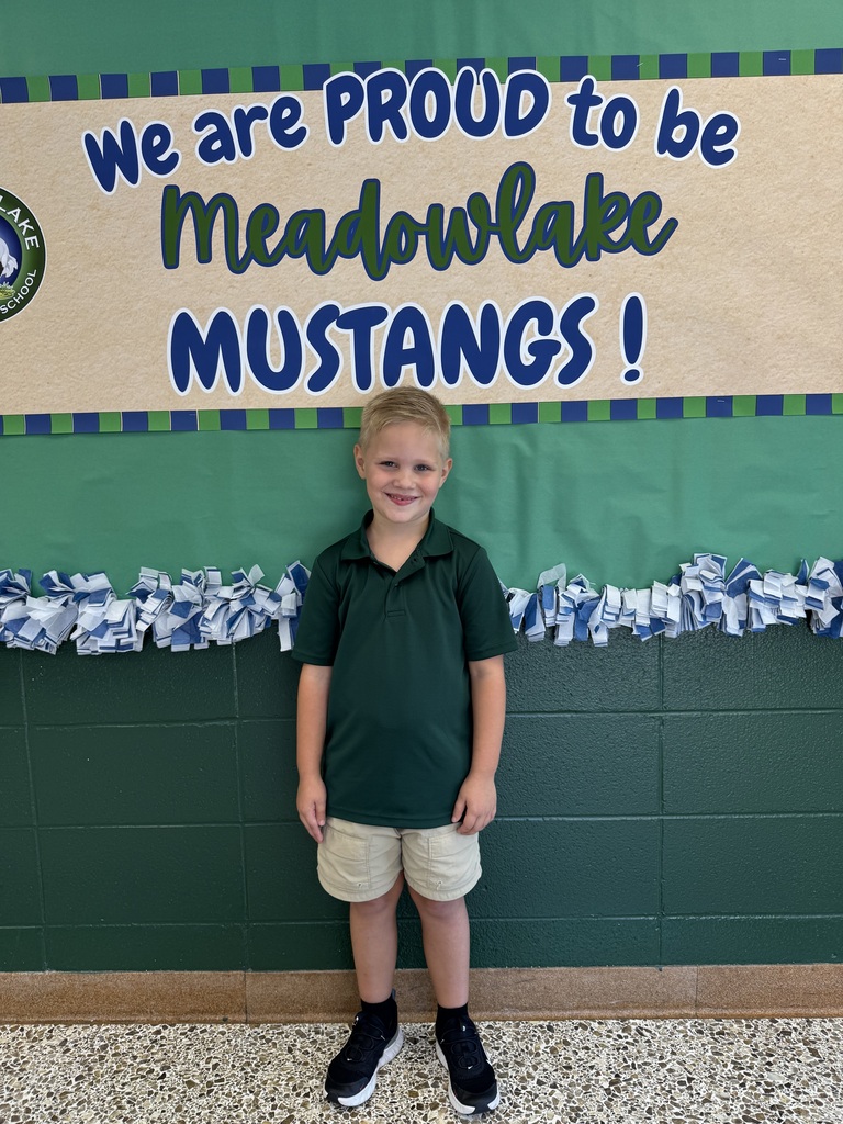 modelmustang student 6