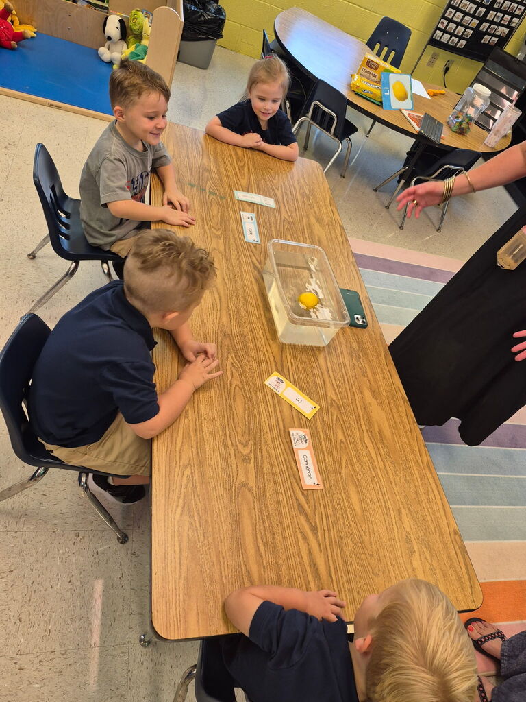 Mrs. Gibbs class finished up their week of learning about the letter L. We did an experiment to see if lemons sink or float and had a taste test of lemon cookies, lemonade and a slice of lemon.