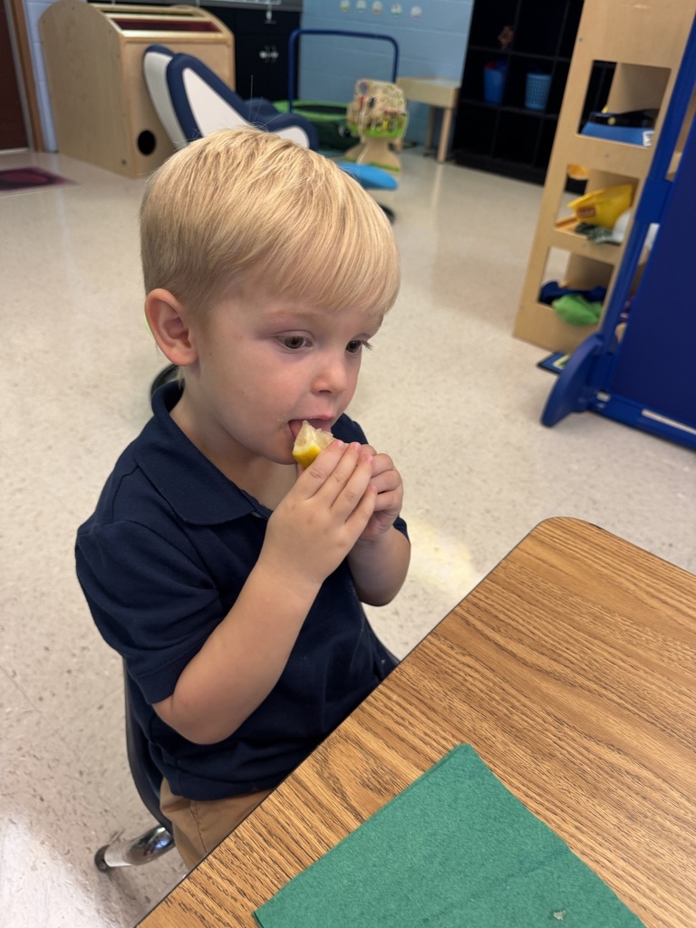 Mrs. Gibbs class finished up their week of learning about the letter L. We did an experiment to see if lemons sink or float and had a taste test of lemon cookies, lemonade and a slice of lemon.