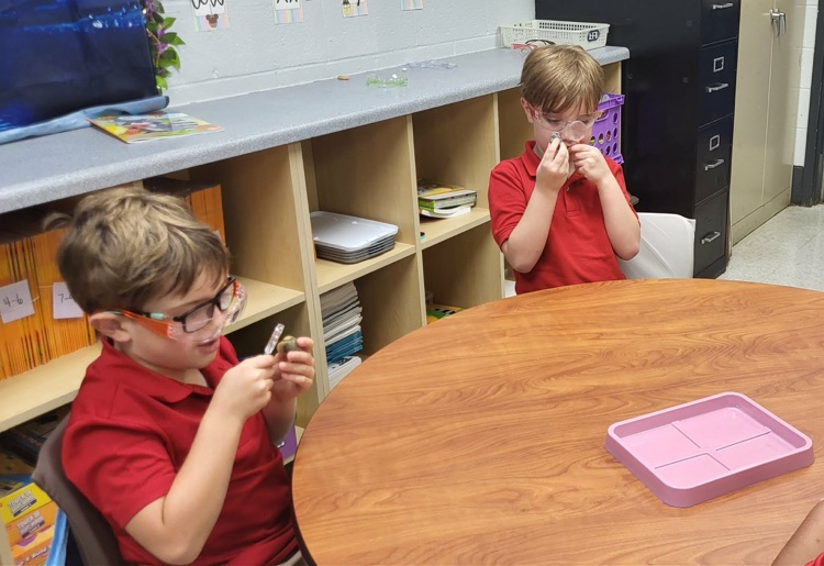 miss Caballero’s class observing rocks with magnifying glass in their classroom sitting at their tables