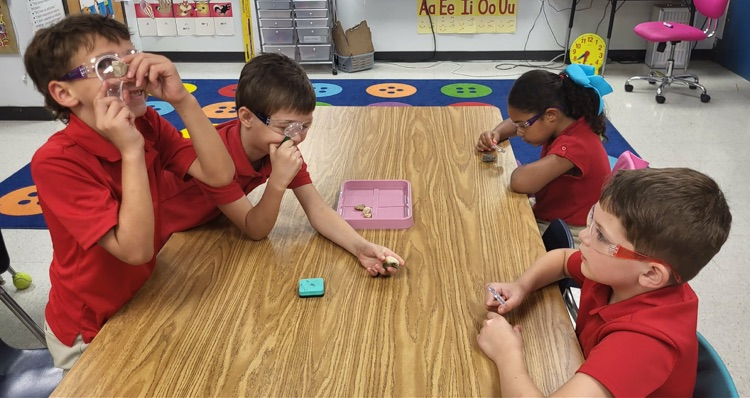 miss Caballero’s class observing rocks with magnifying glass in their classroom sitting at their tables