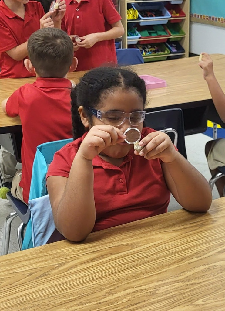 miss Caballero’s class observing rocks with magnifying glass in their classroom sitting at their tables