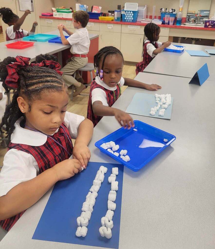 Students arranging styrofoam "snowballs" in rows