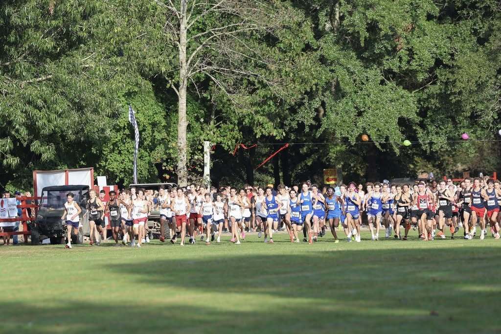 xc