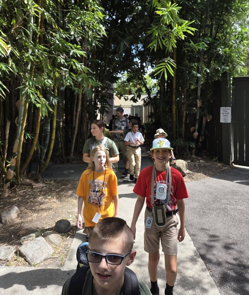 A group of students walking on a tree covered path at a zoo