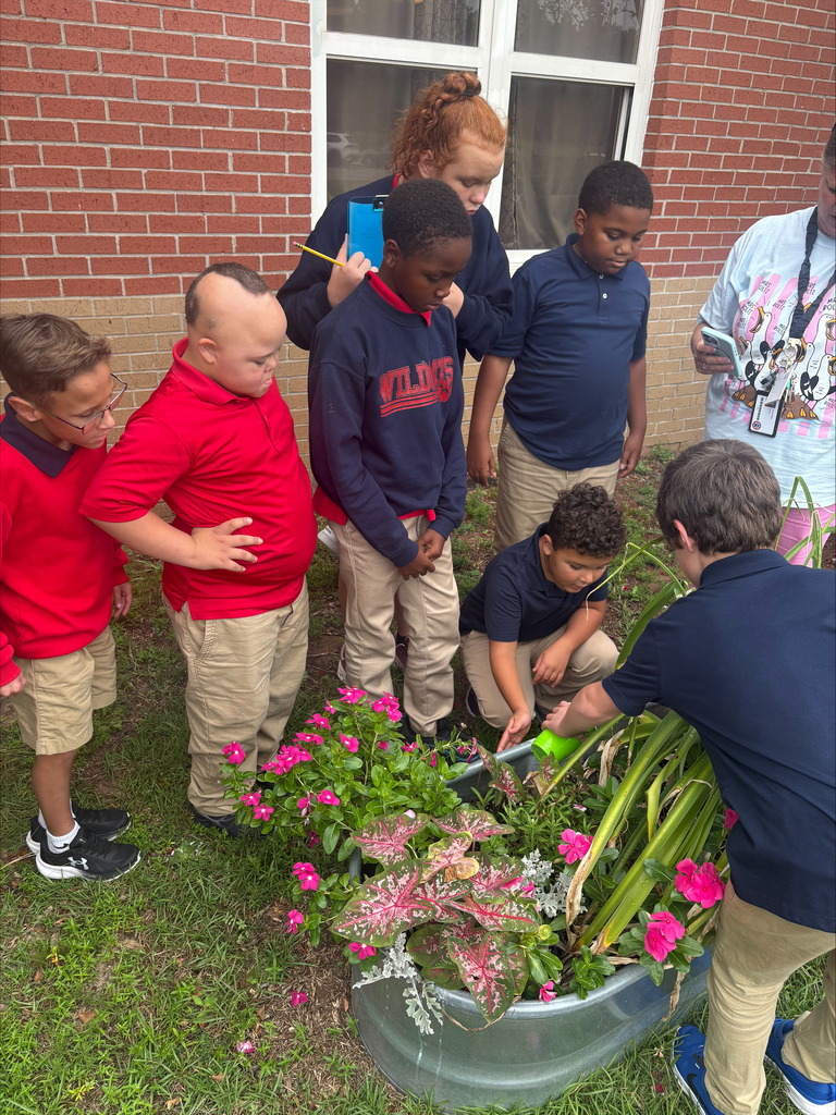 💦 Scientists at Work in Mrs. Boltz’s Class! 🔬 Today Mrs. Boltz's class experimented to see which materials absorb water the fastest! Students made predictions, tested different materials, and were so excited to see which predictions were right! They loved being scientists and learning through hands-on fun! 🧪💙